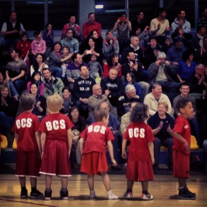 Basket 099