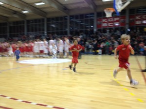 Basket 080